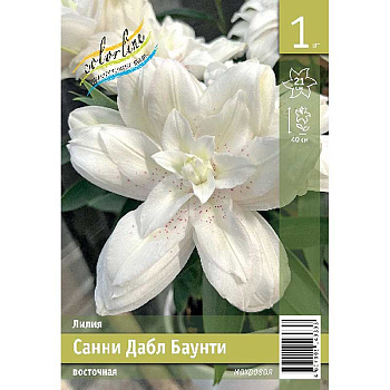 Лилия Санни Дабл Баунти 12/14 1 Эконом шт 