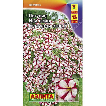 Петуния Изи вейв бургунди стар Аэлита Ц 