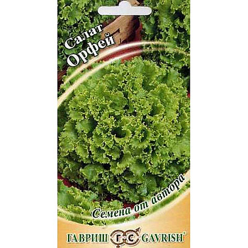 Салат Орфей Гавриш Ц