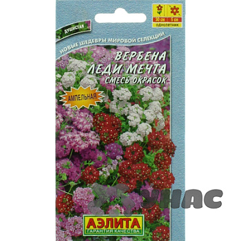 Вербена Леди Мечта Аэлита Ц 