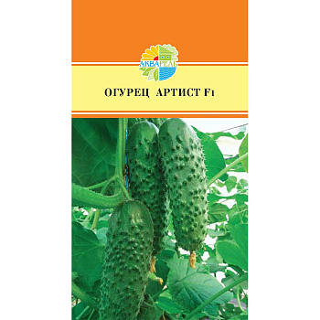 Огурец Артист Маринда/Акварель