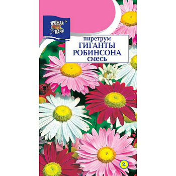 Пиретрум Гиганты Робинсона Смесь Урожай у дачи Ц 