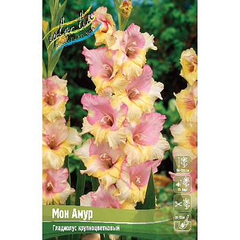 Гладиолус Мон Амур 10/12 10 шт