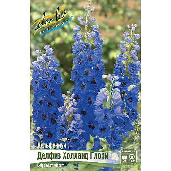 8391 Биг-Пак Дельфиниум Делфиз Холланд Глори 3/5 n 25 шт 