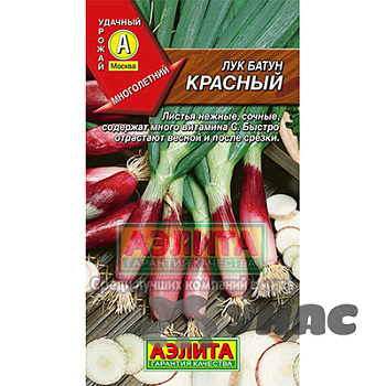 Лук батун Красный  Аэлита Ц