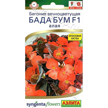 КОМ Бег Бада бум алая Аэлита Цх10 