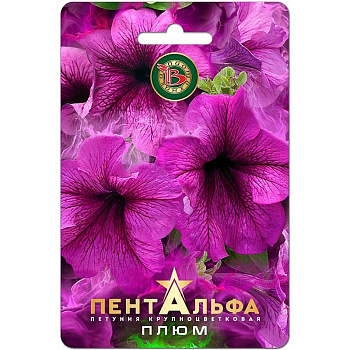 Петуния Пентальфа Плюм Биотехника Ц 