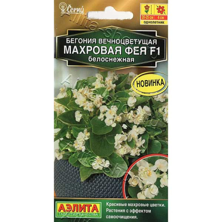 КОМ Бегония Фея белоснежная Аэлита Ц 