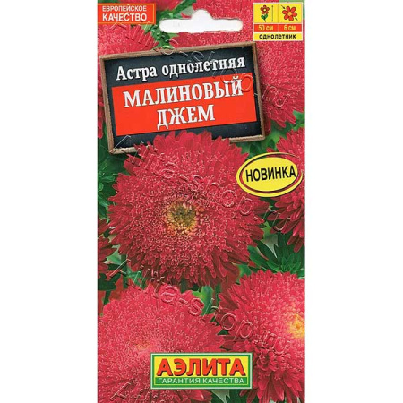 Астра Малиновый джем Аэлита Ц 