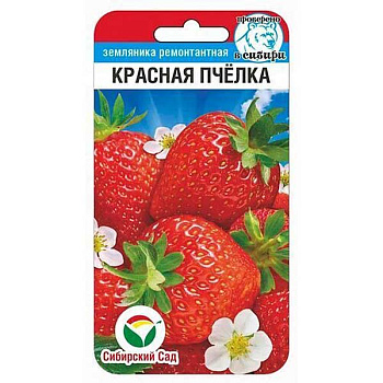Земляника Красная пчелка СибСад Ц 