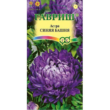 Астра Синяя башня Гавриш Ц 