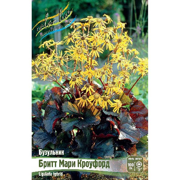 8328 Биг-Пак Бузульник Бритт Мари Кроуфорд I 25 шт