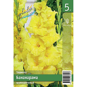 Гладиолус Бананарама 10/12 5 Эконом шт 
