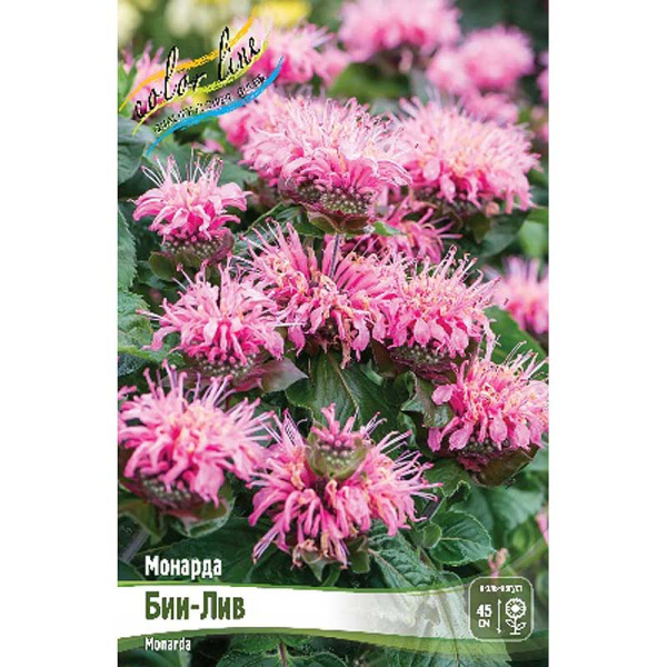 16449 Биг-Пак Монарда Бии-Лив I 25 шт 