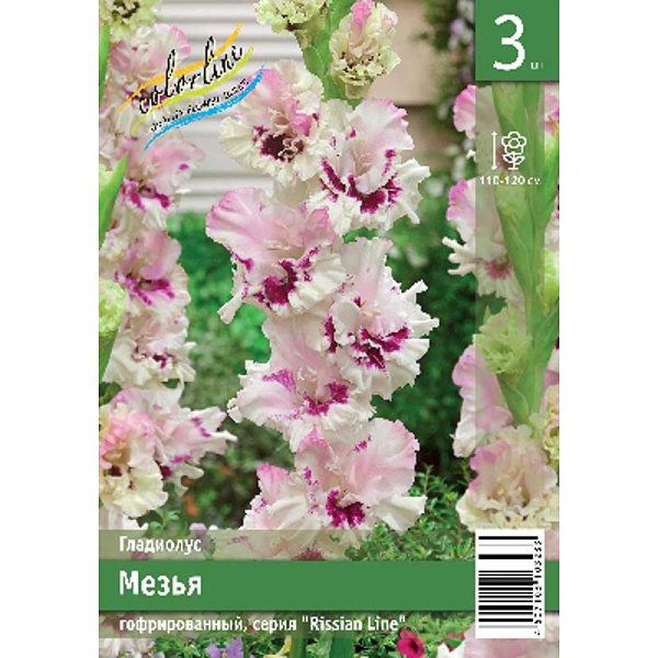 Гладиолус Мезья 10/12 3 Эконом шт 