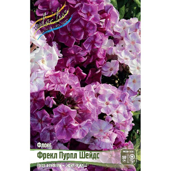 Флокс Freckle® Пурпл Шейдс I 1 шт
