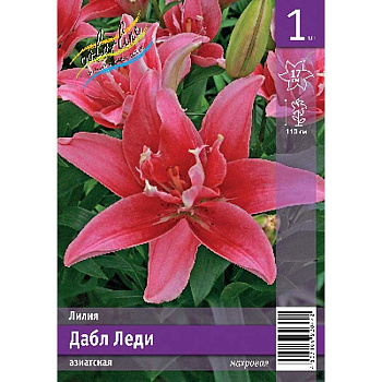 Лилия Дабл Леди 12/14 1 Эконом шт 