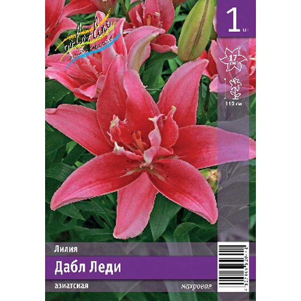 Лилия Дабл Леди 12/14 1 Эконом шт 