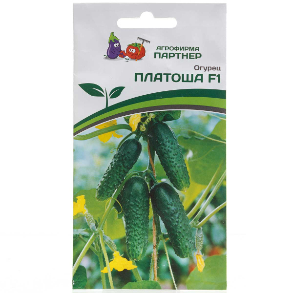 Огурец Платоша Партнер Ц