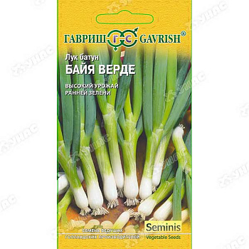 Лук батун БайяВерде Гавриш Ц