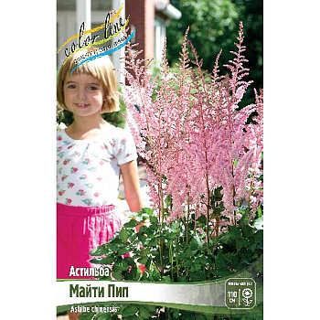 Астильба Майти Пип 2/3 n 25 шт Биг-пак 5657