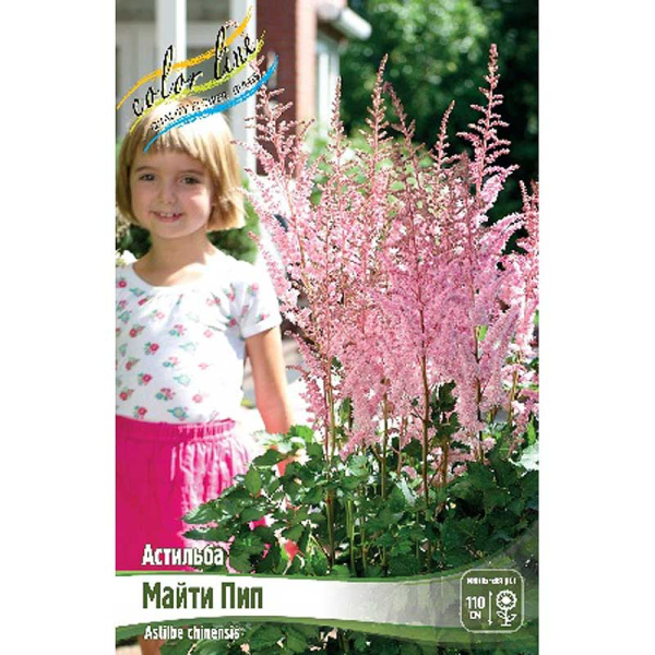 Астильба Майти Пип 2/3 n 25 шт Биг-пак 5657
