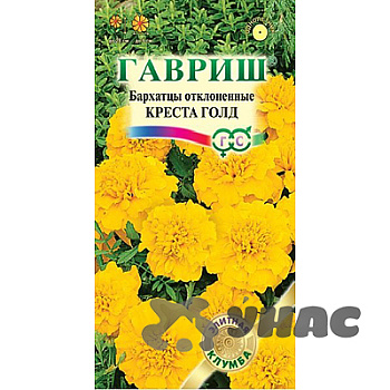 Бархатцы Креста Голд Гавриш Ц 