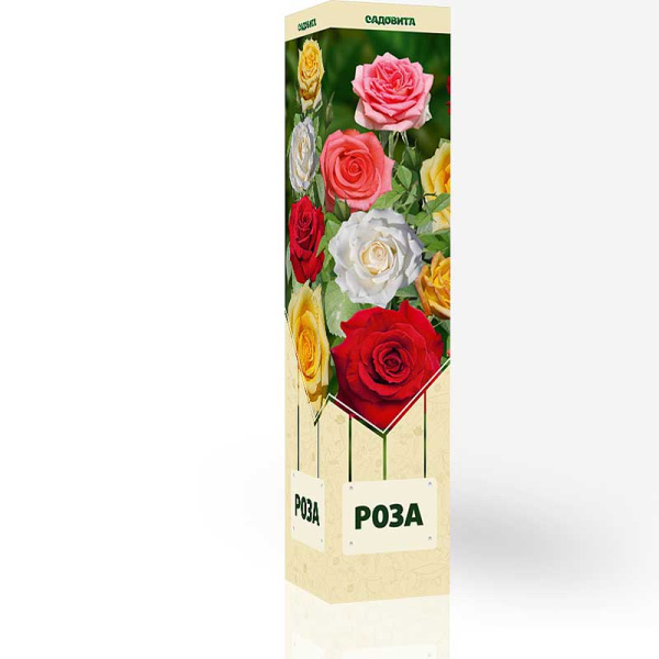 Роза Микс Садовита