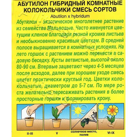 КОМ Абутилон Комнатные колокольчики Аэлита Ц х10 