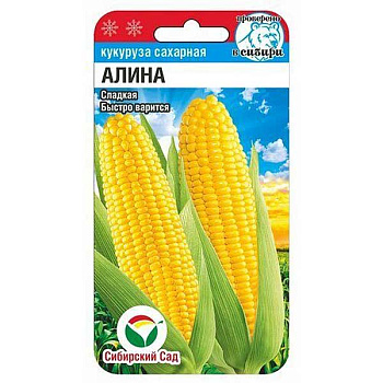Кукуруза Алина Сибирский Сад Ц
