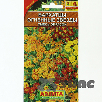 Бархатцы Огненные звезды Аэлита Ц 