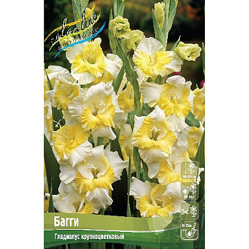 Гладиолус Багги 10/12 10 шт 