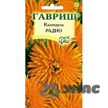Календула Радио Гавриш Ц 