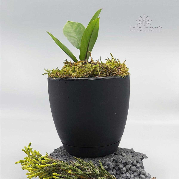 Горшок 0,47л черный 101/10-4 х48 