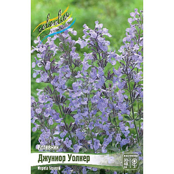 7 Биг-Пак Котовник Джуниор Уолкер I 25 шт
