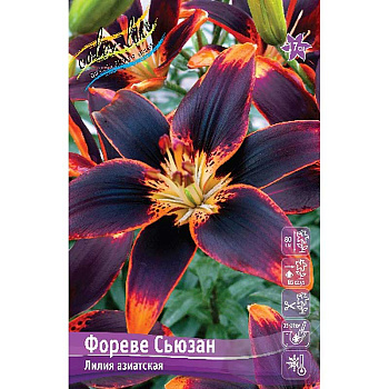 Биг-Пак Лилия Фореве Сьюзан 12/14 25 шт