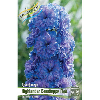 8402 Биг-Пак Дельфиниум Highlander Блюберри Пай 3/5 n 25 шт 
