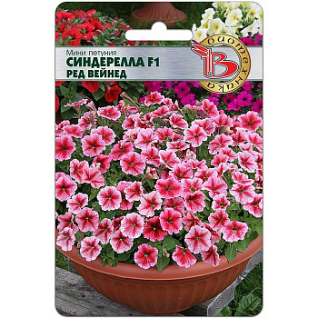 Петуния Синдерелла (мини) Ред Вейнед Биотехника Ц 