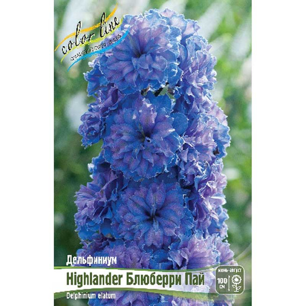 8402 Биг-Пак Дельфиниум Highlander Блюберри Пай 3/5 n 25 шт 