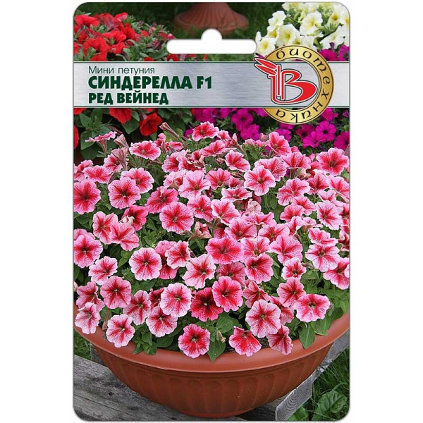 Петуния Синдерелла (мини) Ред Вейнед Биотехника Ц 