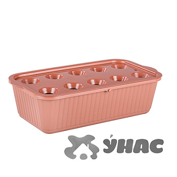 Лоток для выращивания зеленого лука коричневый БШ6716 