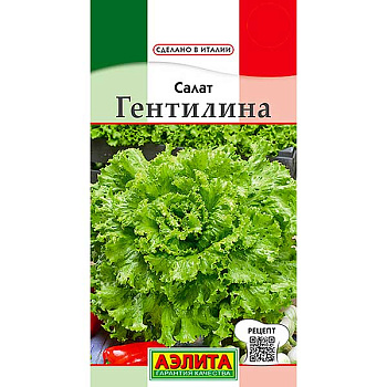Салат Гентилина Аэлита Ц
