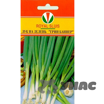 Лук на зелень Грин баннер Маринда/Акварель Ц