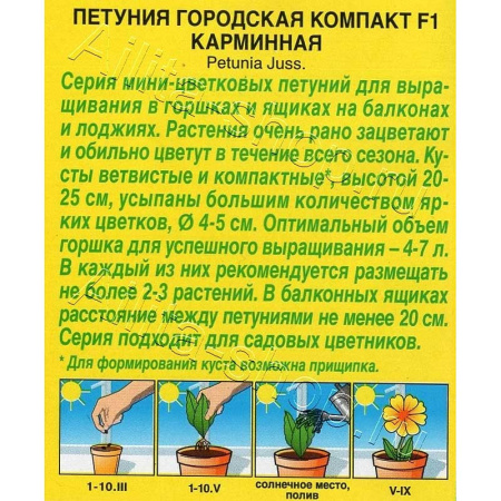 Петуния Городская компакт карминная Аэлита 