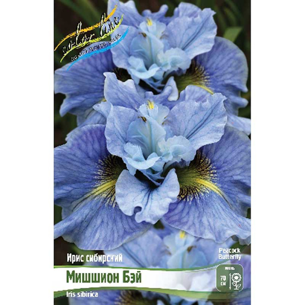 Ирис Сибирский Мишшион Бэй I 25 шт Биг-пак 13387