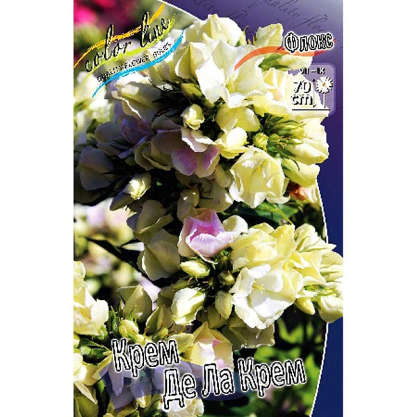 Флокс Крем Де Ла Крем I 25 шт Биг-Пак 6918