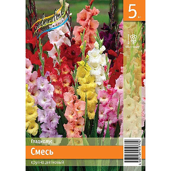 Гладиолус Смесь Крупноцветковых Сортов 10/12 5 Эконом шт 