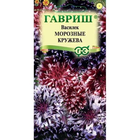 Василек Морозные кружева Гавриш Ц 