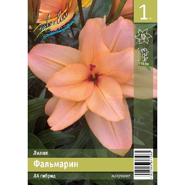 Лилия Фальмарин 12/14 1 Эконом шт 