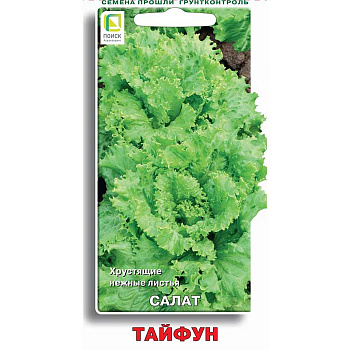 Салат Тайфун Поиск Ц